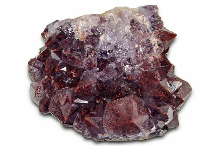 Thunder Bay Amethyst Cluster with Hematite - Top Quality Color! #337173